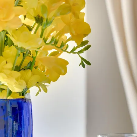 Indigo Self Check-in * Katowice