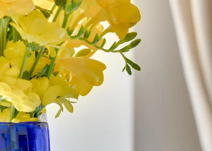 Damrota Apartment Katowice Self Check-In * Katowice